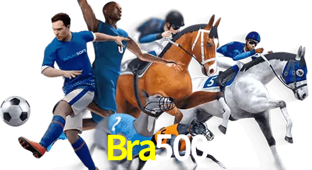 Bra500