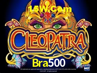 Sistemas de Segurança Bra500