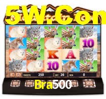 Bra500