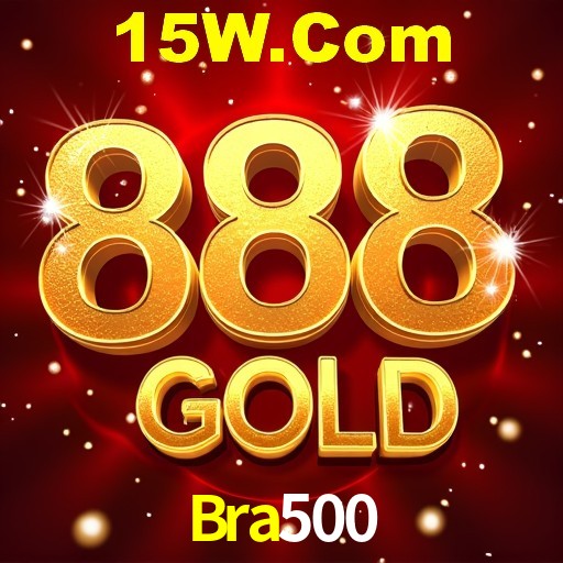 Programa VIP Bra500
