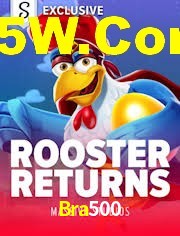 Crash Games Statistics Bra500